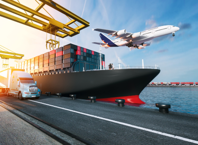 ECTN cargo documentation and shipment details